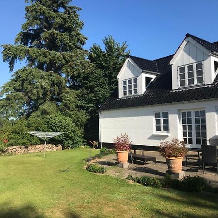 Pedersholt Bed & Breakfast Dybvad Exteriér fotografie