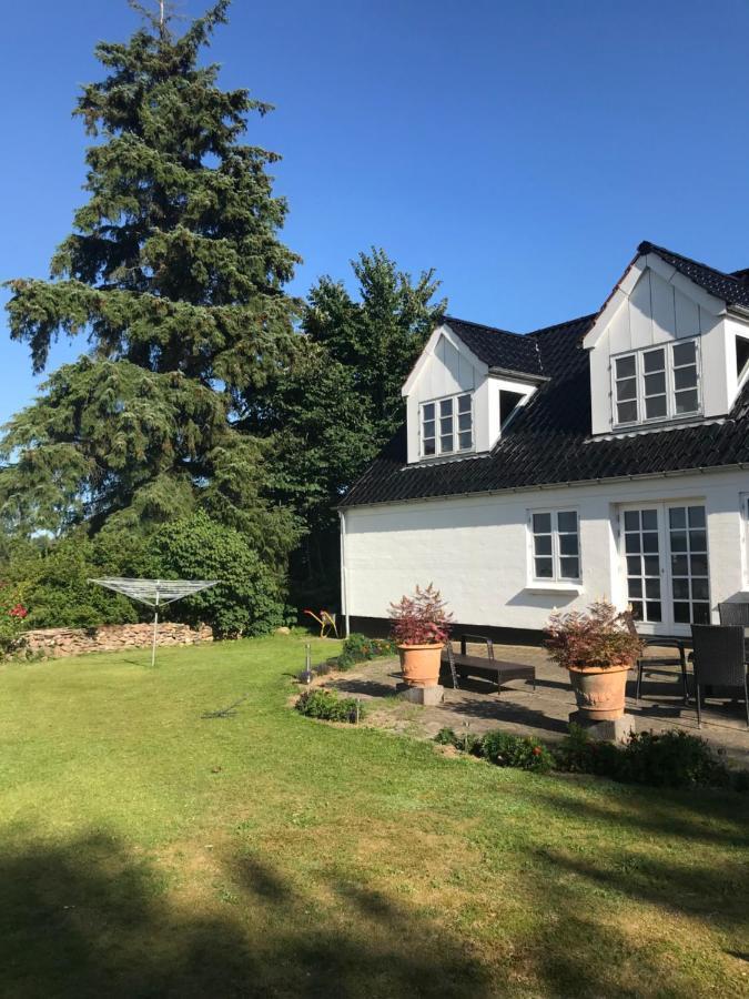 Pedersholt Bed & Breakfast Dybvad Exteriér fotografie